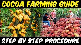 Cocoa Farming / Cocoa Cultivation | Complete Guide | Cocoa Beans Sowing - Cocoa Harvesting