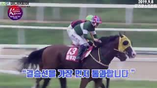 한국 최고의 마 (馬) ' #블루치퍼 ' , 코리아스프린트 우승에 이어 브리더스 더트마일 까지... 세계 경마 수준에 한 걸음 다가가다!
