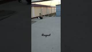 No comment #tashkent #black #cat #respect #food #god