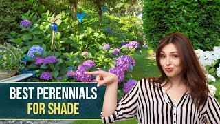 10 Best Perennials for Shade  Beautiful Shade Gardens 