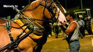 Horse Pull Windsor Fair Maine 2012