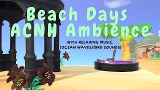 Beach Days | Animal Crossing: New Horizons Ambience (with Relaxing Music + Ocean Waves, Bird Sounds)