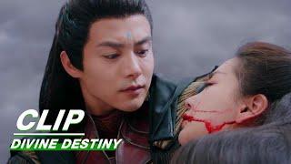 Zhang Yinyin is Seriously Injured  | Divine Destiny EP36 | 尘缘 | iQIYI