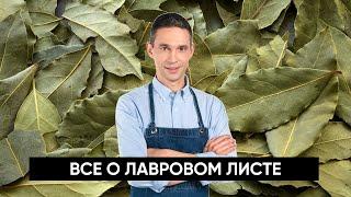 Все о лавровом листе