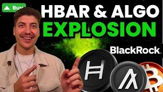 Hedera HBAR Kursexplosion  RWA Tokenisierung mit BlackRock   Algorand (ALGO) zieht nach! [Analyse]