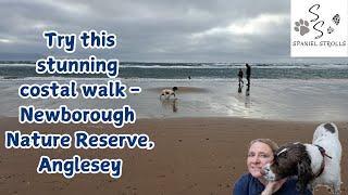 Beach & Forest Walk on Anglesey, North Wales