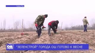 "ЗЕЛЕНСТРОЙ" ГОРОДА ОШ ГОТОВО К ВЕСНЕ. Новости Ош Пирим. 27.03.2019