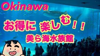 【沖縄】美ら海水族館の裏技公開！割引チケットや便利な駐車場！おすすめ沖縄そば　Churaumi Aquarium