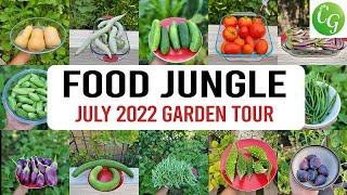 California Garden Becomes a Food Jungle! Vegetable Garden Tour, Gardening Tips & more!