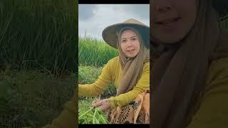 Nemenin wanita desa panen kangkung di sawah #escetv #jandadesa #shorts