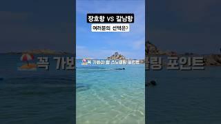 둘다 꼭 가보시길  고정댓글참고 #스노클링 #스노쿨링 #물고기 #낚시  #장호항 #갈남항