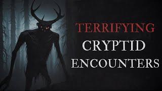 20 Scary Cryptid Encounter Horror Stories