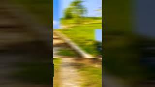Plot for sell in Near by Dehradun || Lands for sell || Property for sell