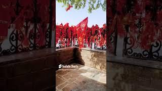 Tara Devi Temple  Shimla’s Sacred Hilltop Retreat #TaraDeviTemple #ShimlaDiaries #himachaltravel