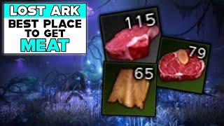 LOST ARK Best Place To Get MEAT (THICK RAW MEAT + TREATED MEAT + TOUGH LEATHER)