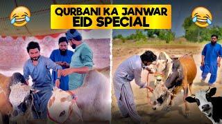 Qurbani K Janwar Ley K Karobar Kr Rhy Thy Game Ulti Par Gai