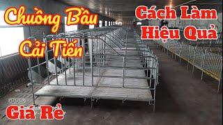 Chuồng Bầu Cải Tiến Cho Nghành Chăn Nuôi Lợn | Khởi Nghiệp TV