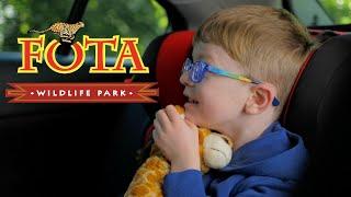 Fota Wildlife Park - Family Day Out | Filmed with PLAY Creative Agency