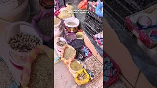ONe day in Timimoun, Algeria
