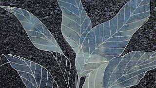 ANALIA SABAN : FOLDS AND FAULTS