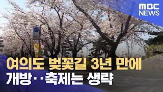 여의도 벚꽃길 3년 만에 개방‥ 축제는 생략 (2022.03.22/5MBC뉴스)