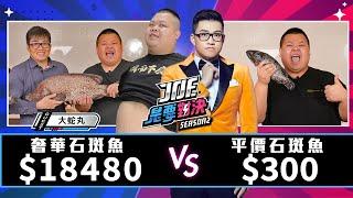 【Joeman】18480元的奢華石斑魚對決300元的平價石斑魚【Joe是要對決S2】Ep94 @BIGSNAKEBALL @jimmywangchef