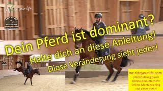 F180 Die Veränderung des dominanten Pferdes! Die Arbeit mit dem Pferd. Viele Tipps zum Reiten Lernen