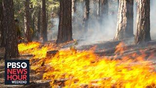 Communities are embracing ‘controlled burns’ to protect themselves