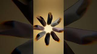 zee clogs product animation 