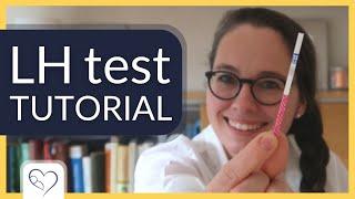 How to use cheap ovulation tests | LH test strips tutorial