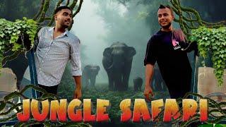 “Jungle Safari Adventure | Asola Bhatti Wildlife Sanctuary l