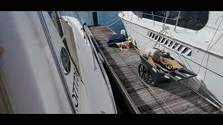 Sea Ray 460 Sundancer  - Boatshed - Boat Ref#340350