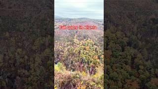 Atlanta Fall Colors #trending #ytfeed #ytshorts #fallcolors #nature #viralshorts