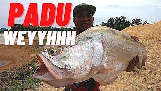 Menajur Ikan BAUNG.trip bersama idola @mrsamr3022 dan @penyengatsungai880 #vlog41 #unlimitedhobby