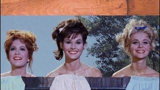 Sexy Ladies of Petticoat Junction