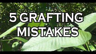 5 GRAFTING MISTAKES