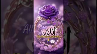 Super Hit Rabiulawal Naat - Owais Raza Qadri -Jashan Amad E Rasool #shorts #trending #viralvideo