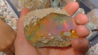 Huge Rough Ethiopian Opals!