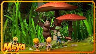 meadow theater - part 1 - Maya the Bee - made 4 kids TV