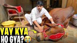Bablu Bemar Ho Gya || Naak Sy Khoon Any Laga  || Eid Ki Shopping Start