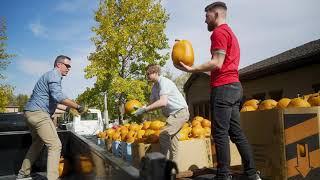 Hughes Real Estate Group's Pumpkin Day