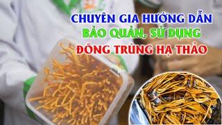 Hướng dẫn sử dụng đông trùng hạ thảo || Cách bảo quản đông trùng hạ thảo tốt nhất - Phần cuối