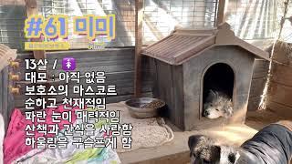 미미의 행복한 보호소 집중 탐구  4 - 통로 끝방 친구들 소개