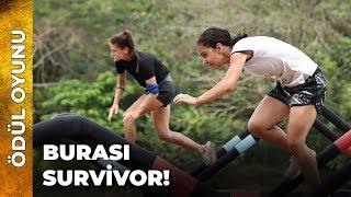 Ödül Oyunu 1. Kısım | Survivor Ünlüler Gönüllüler