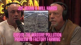 Joe Rogan learns of MASSIVE POLLUTION problem - Factory Farming Environmental CATASTROPHE 