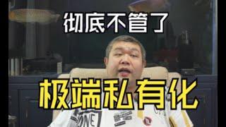 阿根廷米莱废掉90%政府税收背后打的什么算盘