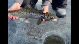 Ice Fishing for BIG Landlocked Salmon & Cusk | Northern Maine