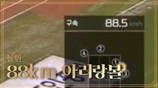 놀린의 88km 아리랑볼