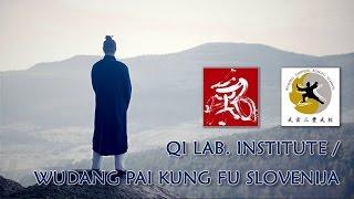 QI LAB INSTITUTE / WUDANG PAI KUNG FU SLOVENIJA HD JuvanNet