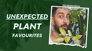 Top 10 Plant Surprises!  | Plants I Underestimated! ‍️